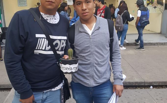 Amigo Verde