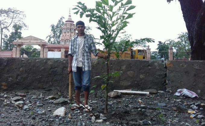 Plantation