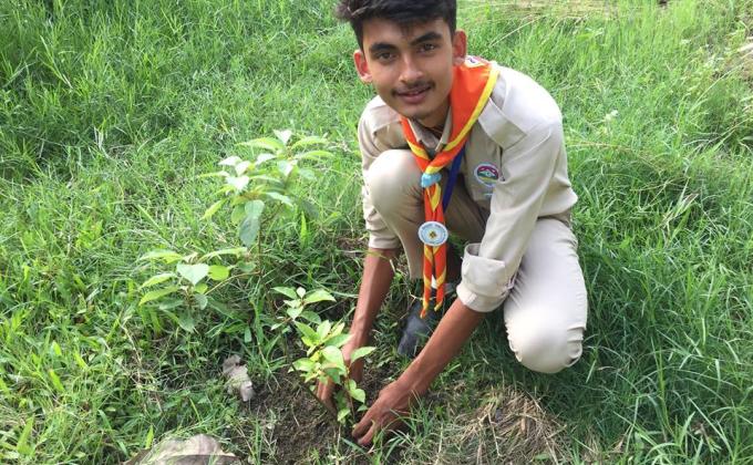 Plantation program