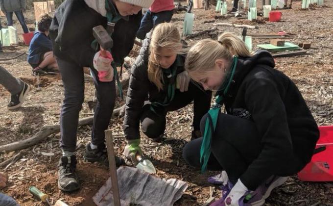 National Tree Day 2018