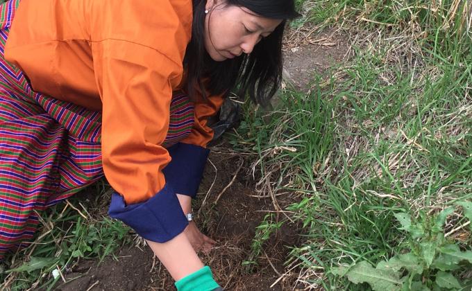 Plant a Plant Yearly