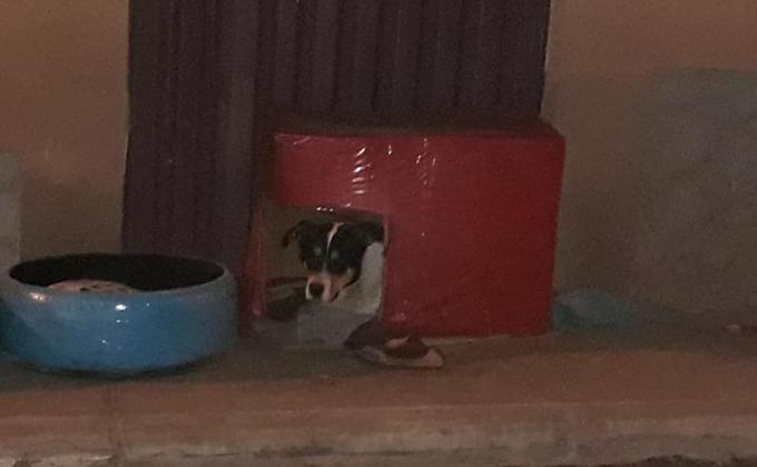 Todos  merecemos un hogar