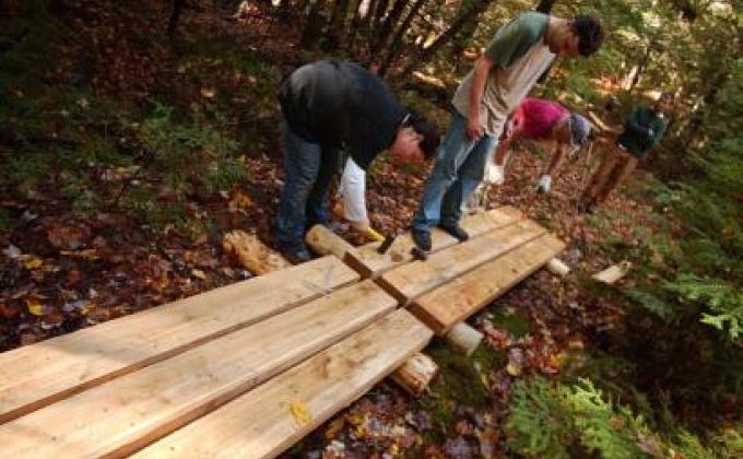 Building Bog Bridges