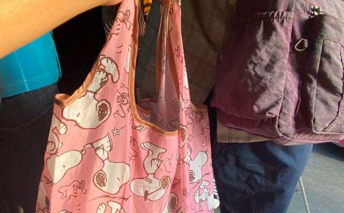 ช่วยถือของ