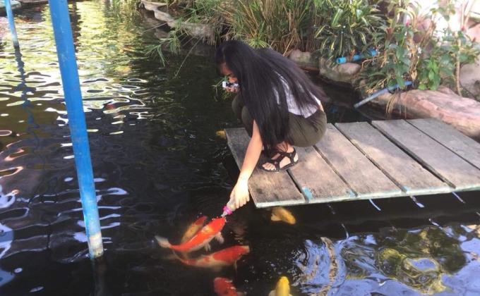 ไห้อาหารปลาวัดไร่ขิง