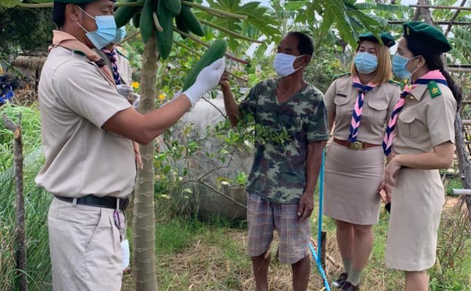Thai Scouts prepare for COVID war with Papaya.