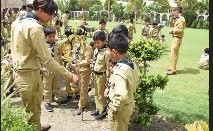 Plantation Activity