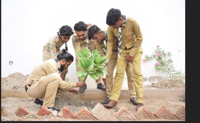 Plant Trees for Sustainable Development
