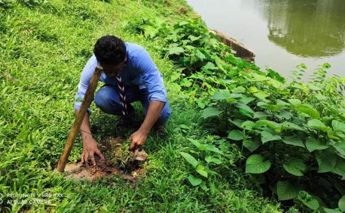 Tree Plantation at Banks of the pond named ‘Rajdighi’ at Gazipur
