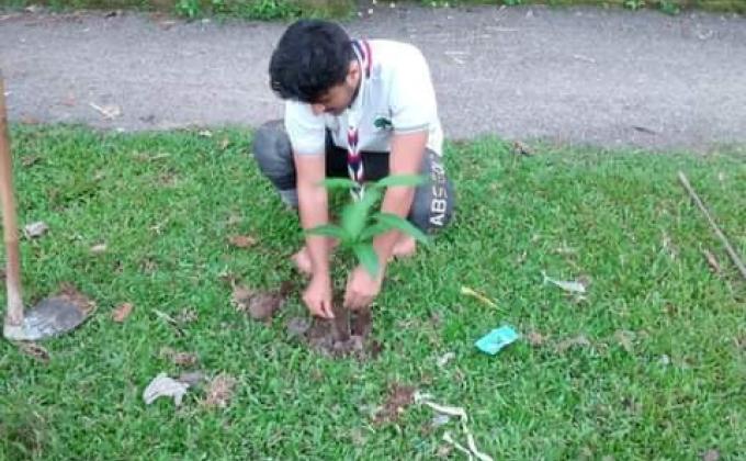 Strategic Tree Plantation at Various and random places of Haluaghat, Mymenshing 
