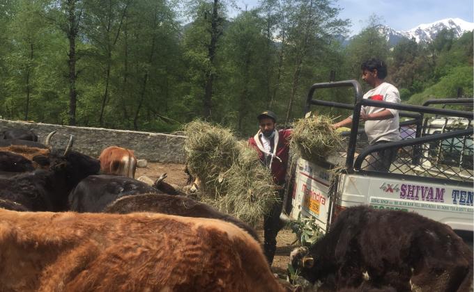 Birthday Celebration At Gousadan 