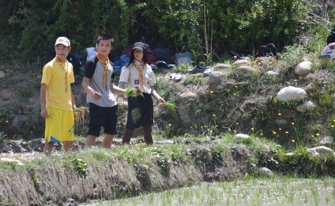 Volunteer 