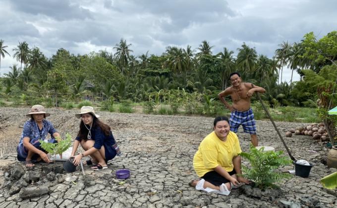 การปลูกต้นไม้ เพิ่มพื้นที่สีเขียว