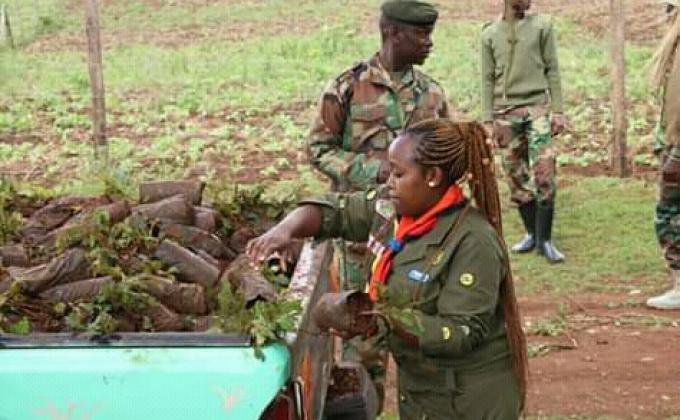 TREE PLANTING IN KIBIKO FOREST