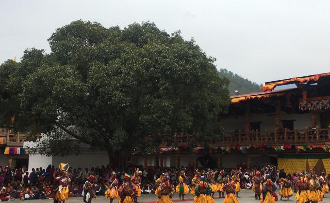 Scout and desup help in proceeding Punakha Dromchoe and Tsechu. 