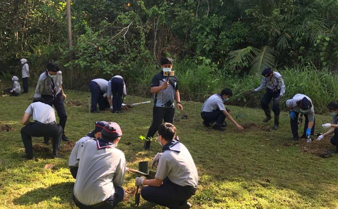 Trees for future scouting