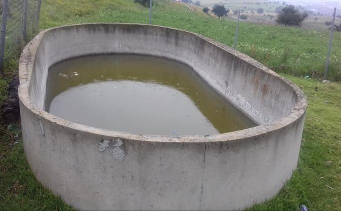 Base scout LOS HORNOS SAN FRANCISCO