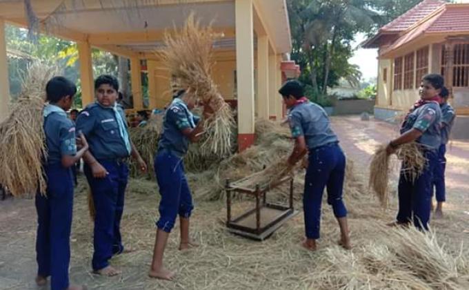 Kadiyali open unit Scouts .. one day with farmer.. 30th November 2018. Bharat scouts and guides Udupi District Association , Karnataka, India. 