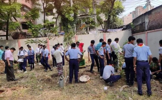 বৃক্ষরোপণ ও পরিবেশ রক্ষা-২০১৯ 