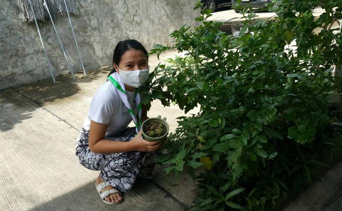 ปลูกต้นไม้ หน้าบ้าน “อยู่บ้าน หยุดเชื้อ เพื่อชาติ”