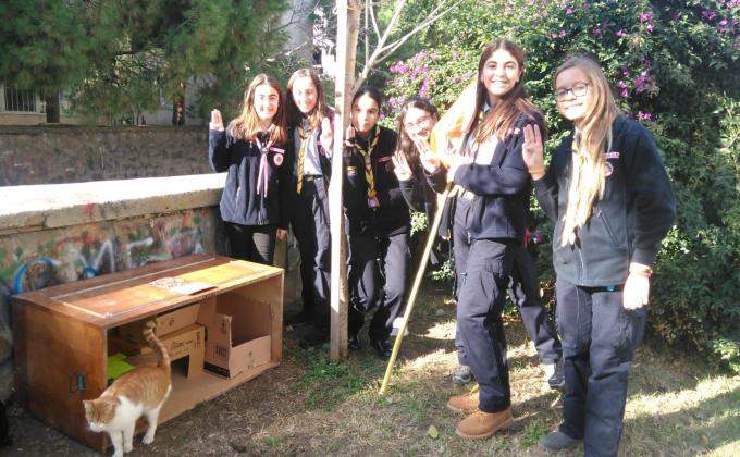 Pars Patrol and Cats