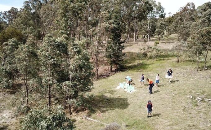 100 trees for 100 years of Rovers 