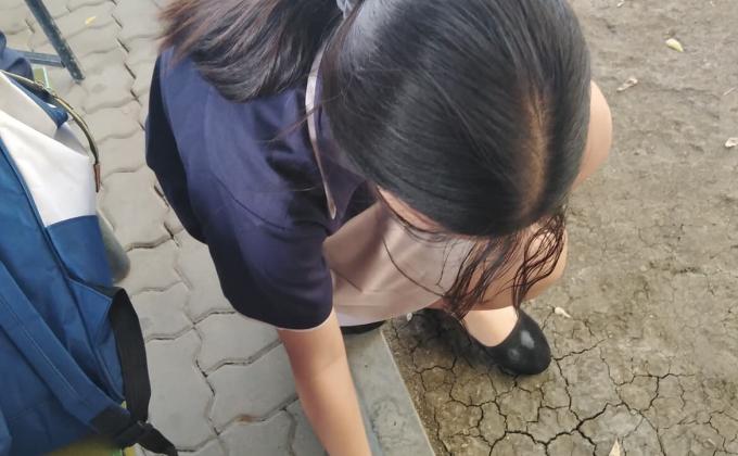 เก็บขยะ-จิตอาสา