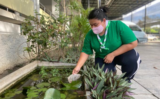 การดูแลรักษาทรัพยากรธรรมชาติและสิ่งแวดล้อม