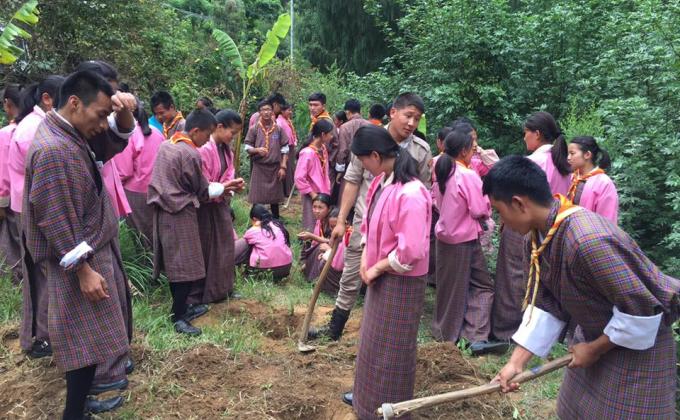 Love is Planting a Tree