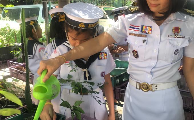 รดน้ำต้นไม้