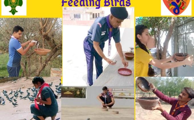 Feeding Birds(sankalp project)