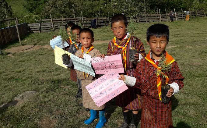 Tree plantation 