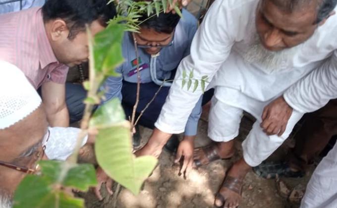 মুজিব শতবর্ষ ২০২০ উপলক্ষে বৃক্ষ রোপন  কর্মসূচি 