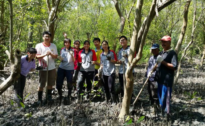 100 Mangrove Trees Planting and Seedling, Rubbish Cleaning