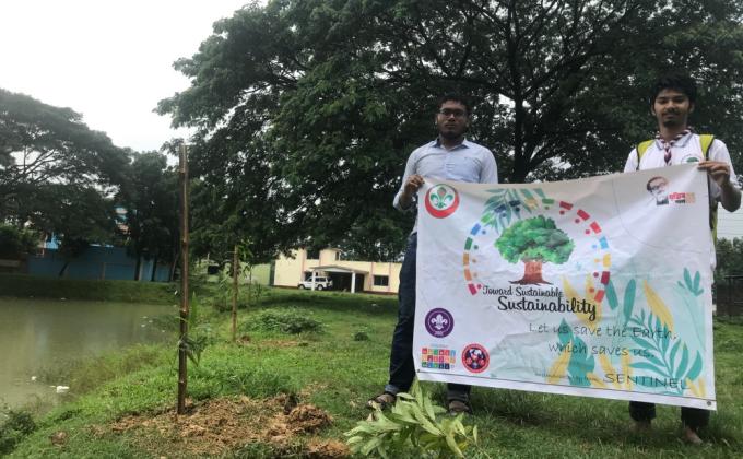 Planted Tree at Circuit House Pond, Gazipur