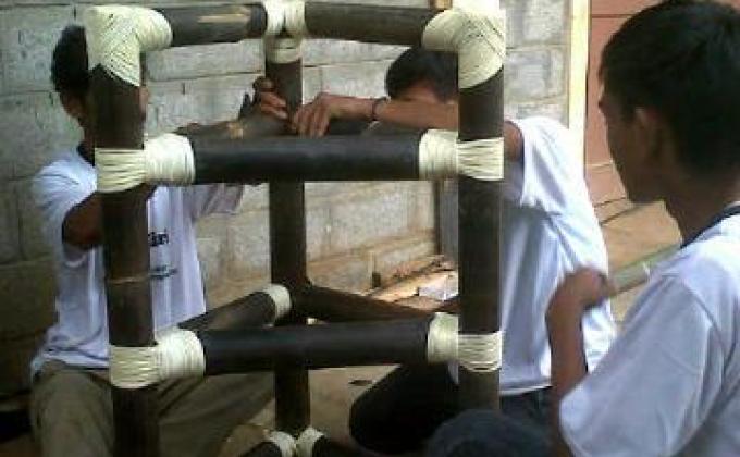 Bamboo for Survival