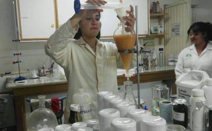 ECO-INSECTICIDAS DE NEEM