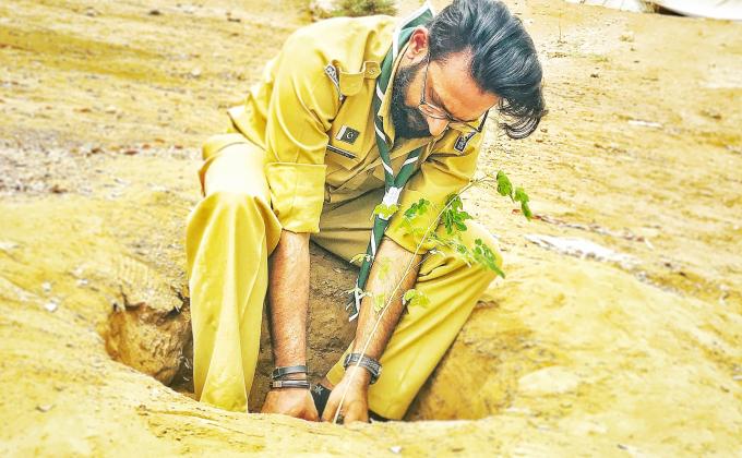 Plantation Activity 