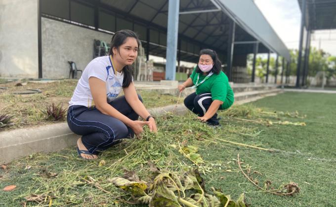 การทำความสะอาดบริเวณโร