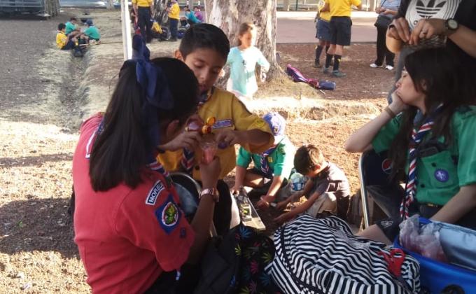 Proyecto ingresos extras para solventar mis gastos