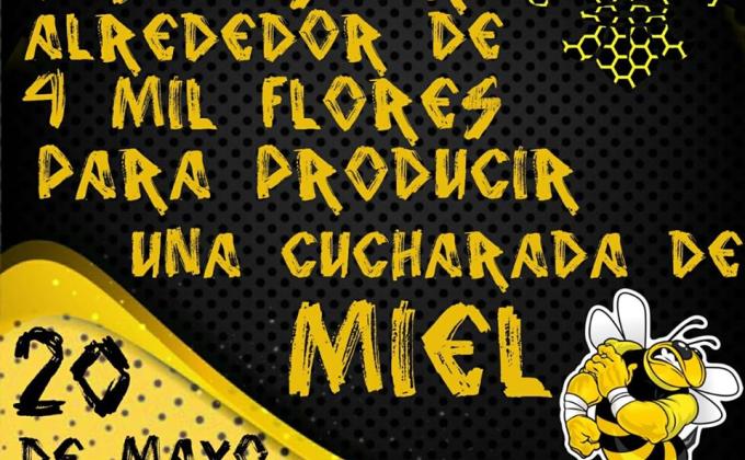 YO CUIDO LAS ABEJAS 