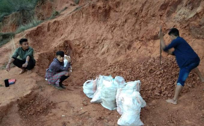 Tree plantation for enhancing peace.