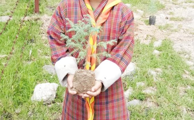 Observed World Environment Day with Scouts and CBS