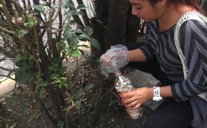 Recolección de colillas