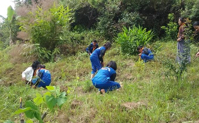 The true meaning of life is to plant tree.