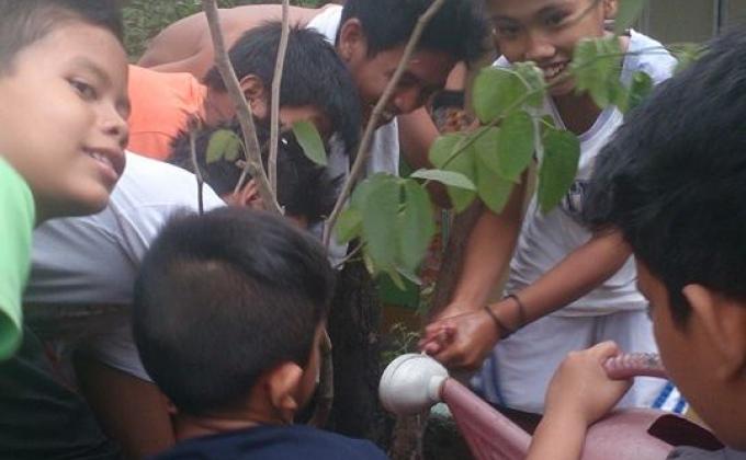 Tree Planting