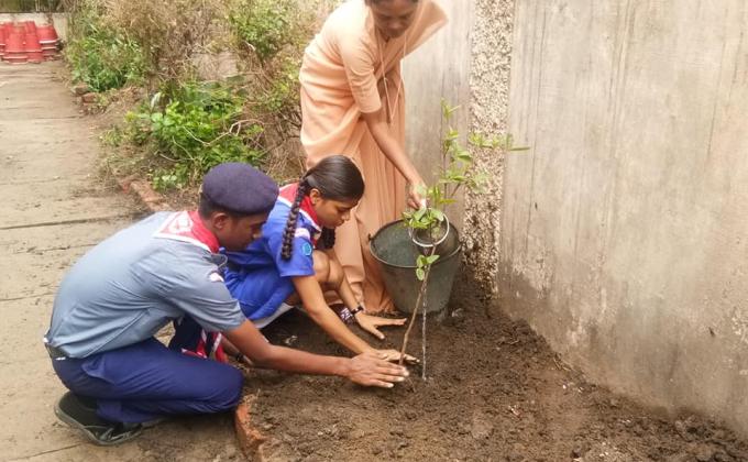 Plantation