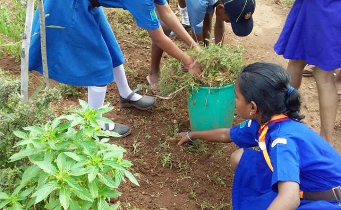 plants a tree plants a hope#4