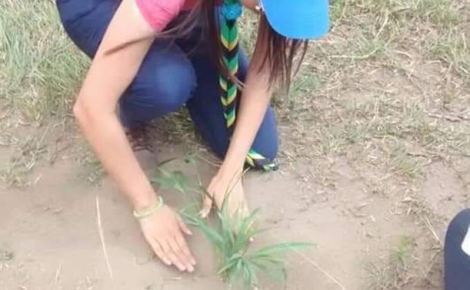 Embelleciendo nuestro estado