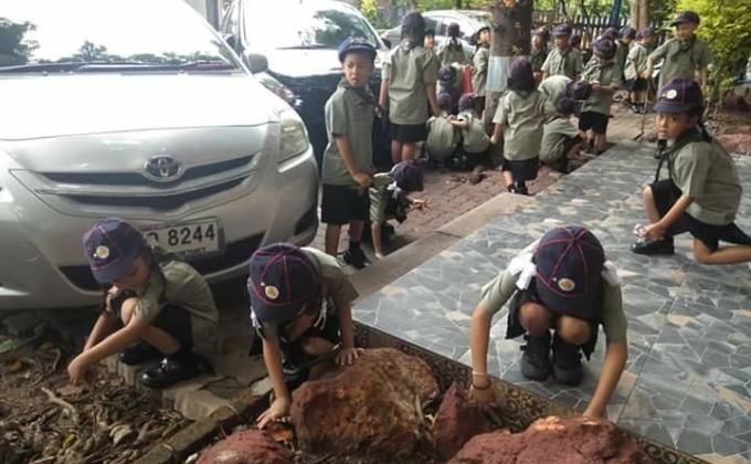 ดูแลสวนที่รับผิดชอบ